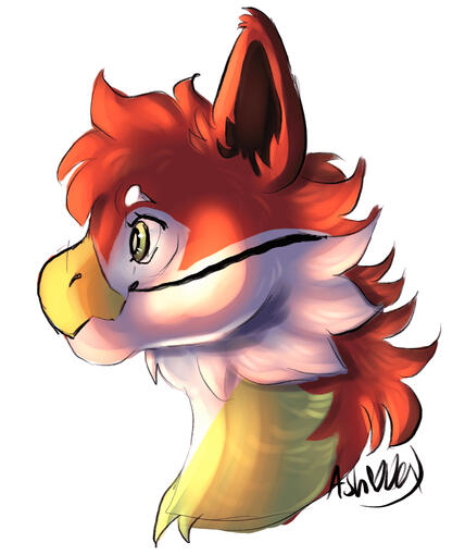 CoastalMars&#39; OC, Geo